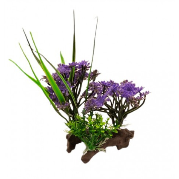 ΔΙΑΚΟΣΜΗΤΙΚΟ ΦΥΤΟ ΕΝΥΔΡΕΙΟΥ 19Χ9CM